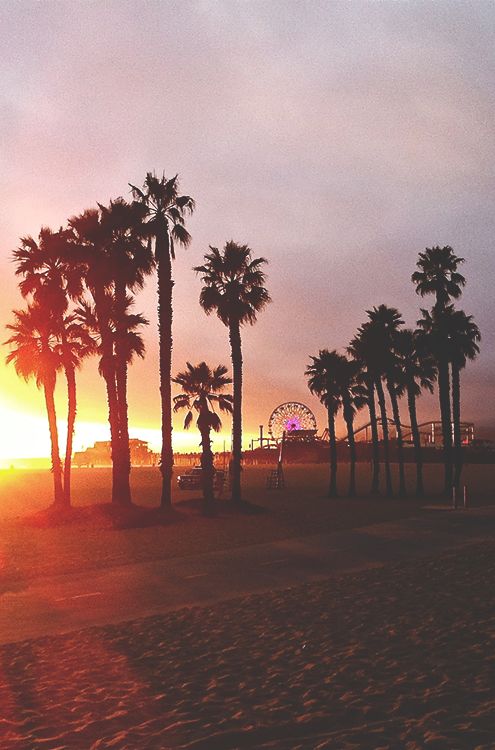 venice beach, california